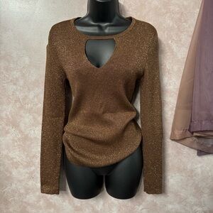 INC International Concepts Brown V-Neck Sweater with Long Sleeves